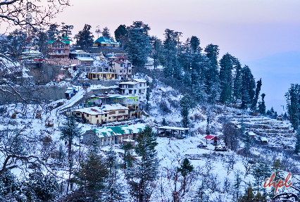 magnificent-shimla-manali-tour-5048